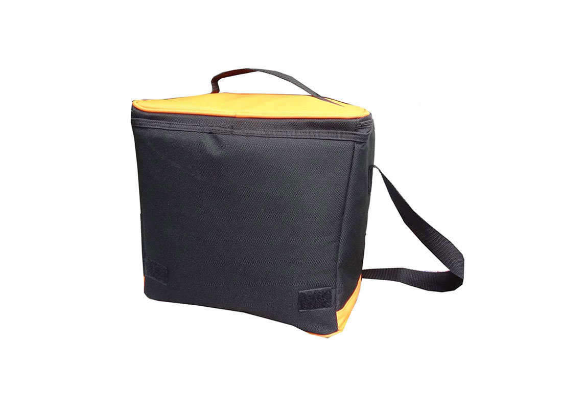 Insulated Cooler Bag in Orange & black back